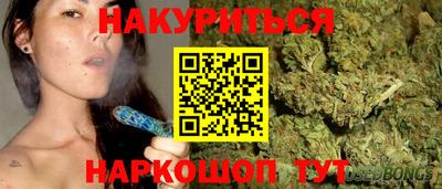 сатива Гулькевичи