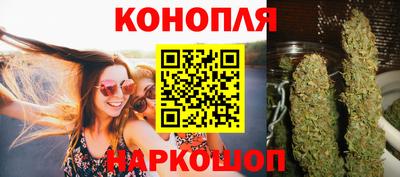 дмт Бийск