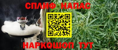 шишки Берёзовский