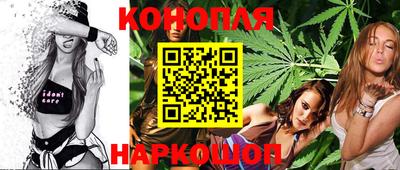 дмт Бийск