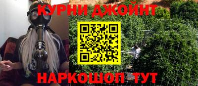 шишки Берёзовский