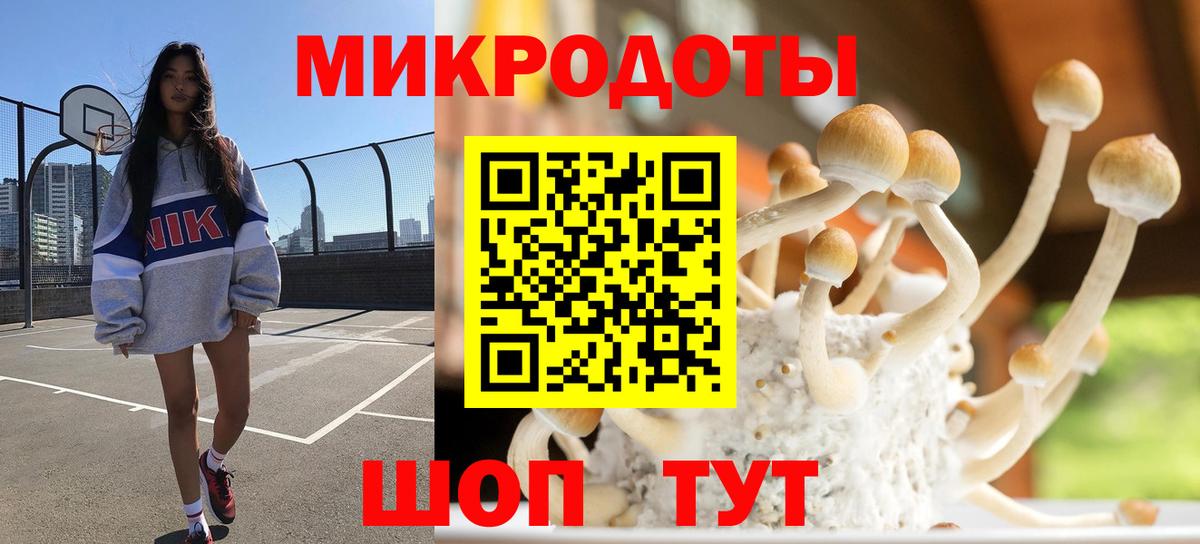 Киселёвск  Псилоцибиновые грибы Psilocybe  Вход с VPN 